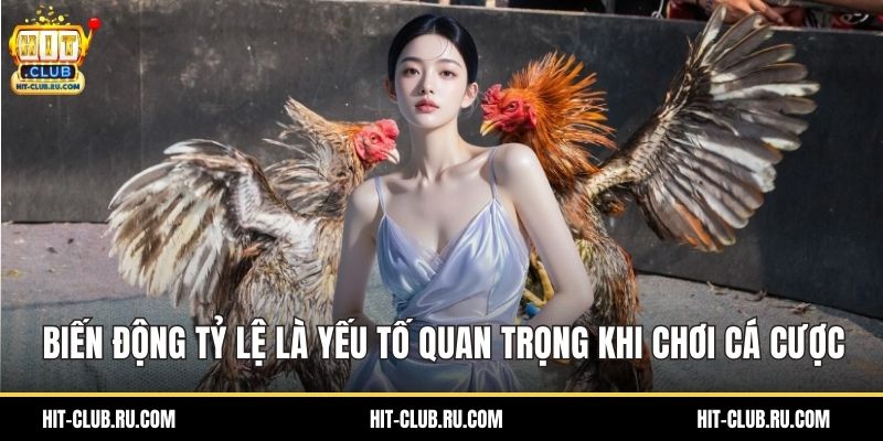 Biến động tỷ lệ là yếu tố quan trọng khi chơi cá cược
