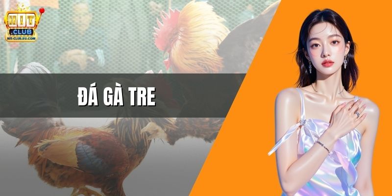 Đá Gà Tre - Bí Quyết Chọn Gà Chiến Siêu Hay Tại HitClub